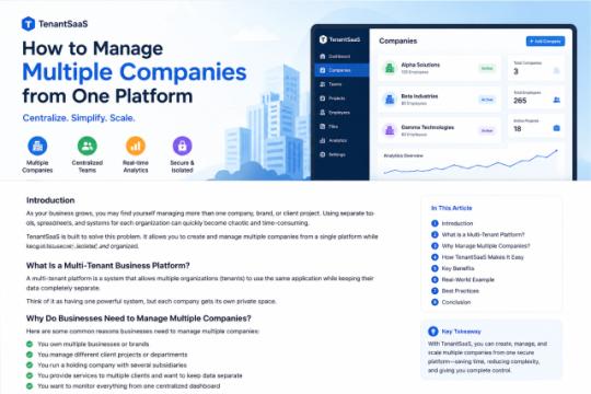 How to Manage Multiple Companies from One Platform